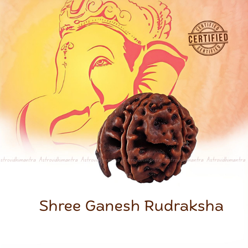 Shree Ganesh Rudraksha - Nepali