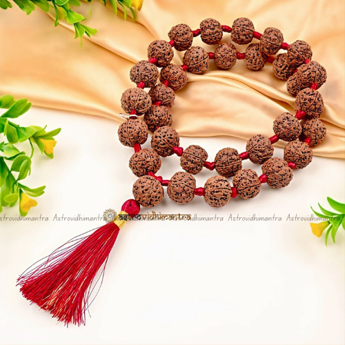 7 Mukhi Rudraksha Mala