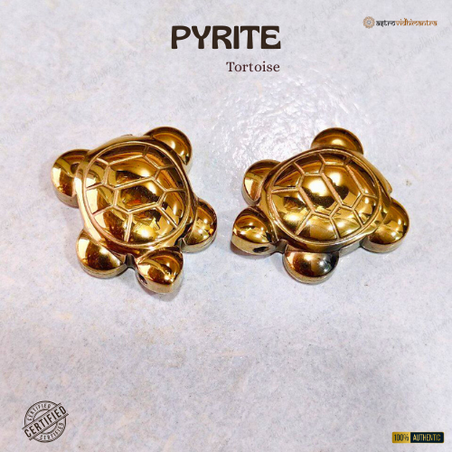 Money Magnet Pyrite Turtle (2Pcs)