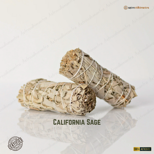 California Sage