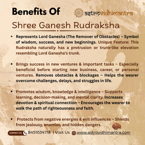 Shree Ganesh Rudraksha - Nepali