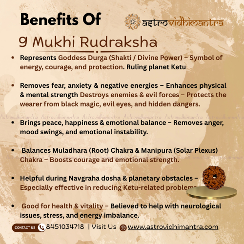 9 Mukhi Rudraksha - Nepali