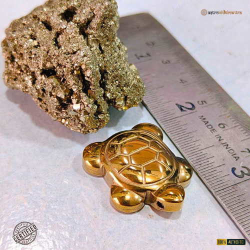 Pyrite Tortoise with Pyrite Geode