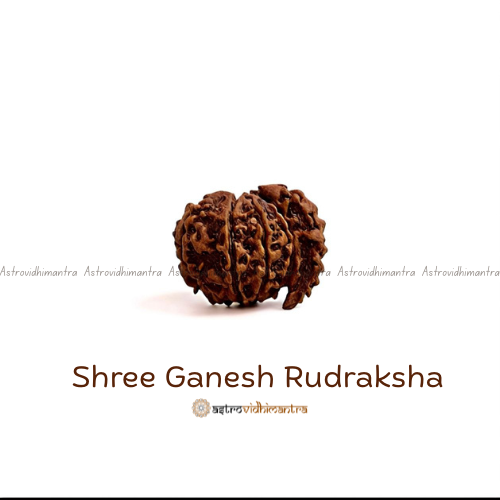 Shree Ganesh Rudraksha - Nepali