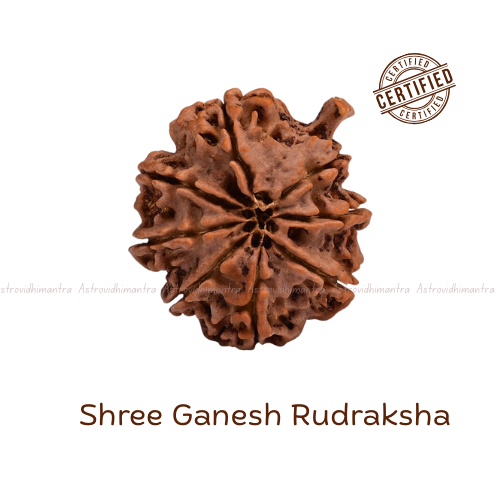 Shree Ganesh Rudraksha - Nepali