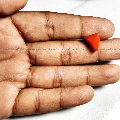 Red Coral (Moonga) - 6.02 Carats