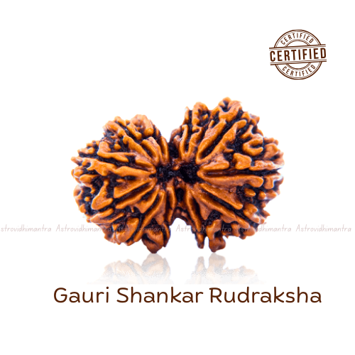 Gauri Shankar Rudraksha - Nepali