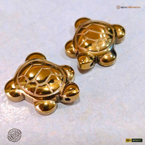 Money Magnet Pyrite Turtle (2Pcs)