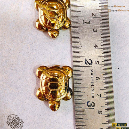 Money Magnet Pyrite Turtle (2Pcs)