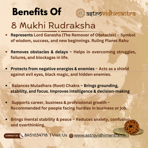 8 Mukhi Rudraksha