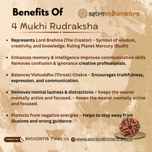 4 Mukhi Rudraksha - Nepali
