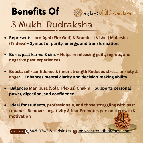 3 Mukhi Rudraksha