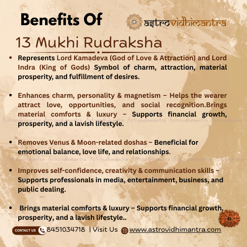 13 Mukhi Rudraksha