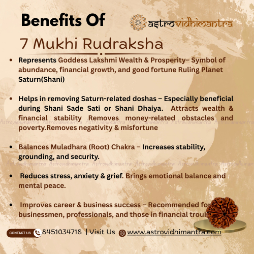 7 Mukhi Rudraksha - Nepali