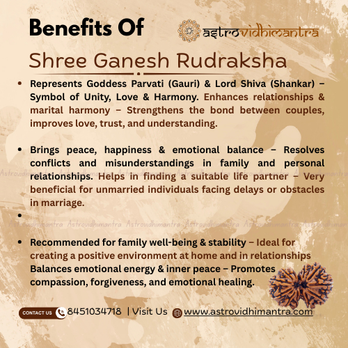 Gauri Shankar Rudraksha