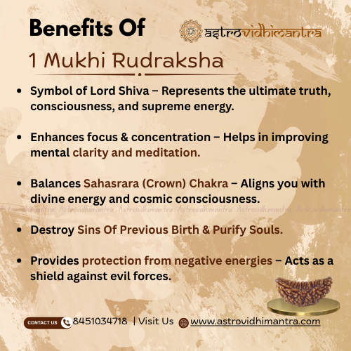 1 Mukhi Rudraksha