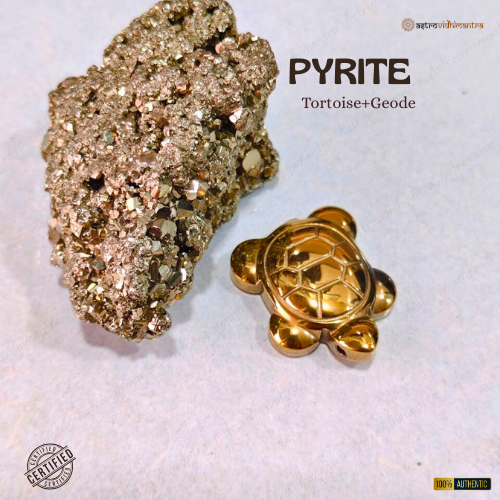 Pyrite Tortoise with Pyrite Geode