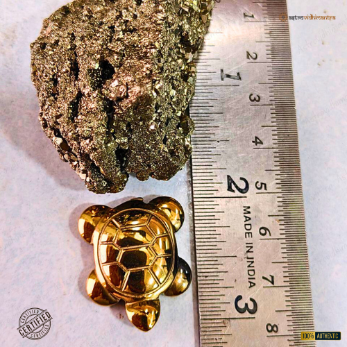 Pyrite Tortoise with Pyrite Geode