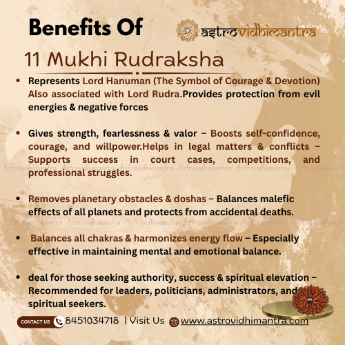 11 Mukhi Rudraksha