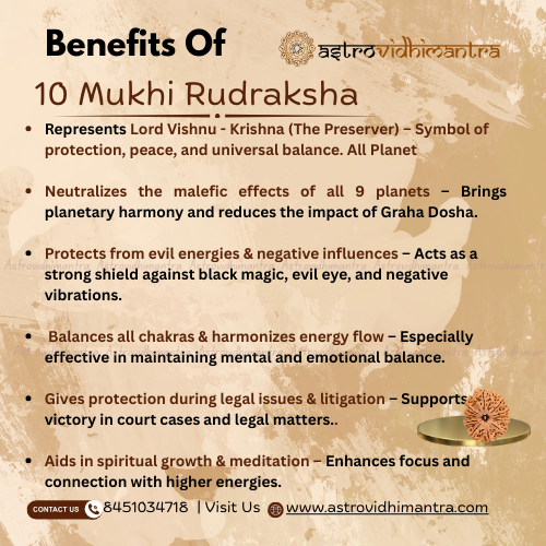 10 Mukhi Rudraksha