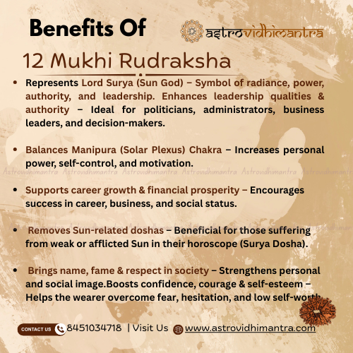 12 Mukhi Rudraksha